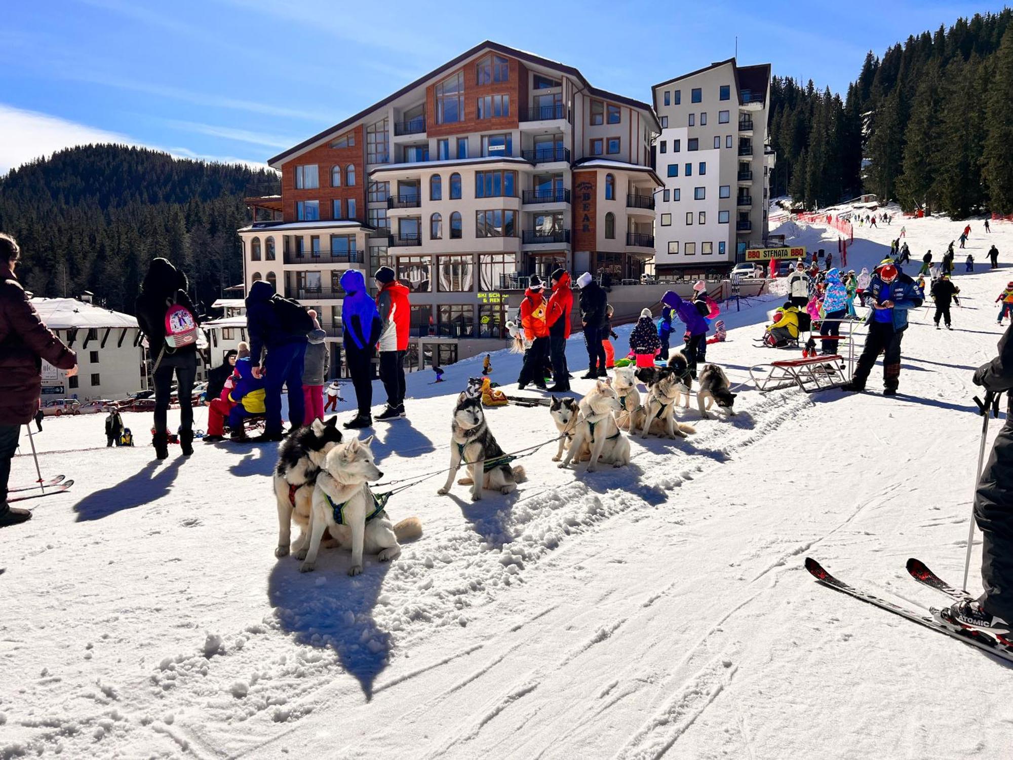 The Bear Pamporovo Aparthotel Exterior photo